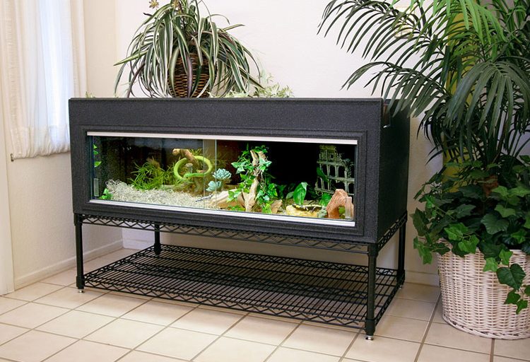 Everything there is to know about snake cage backgrounds