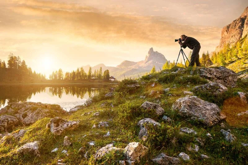 How Carbon Offsetting Helps Photography Businesses Grow