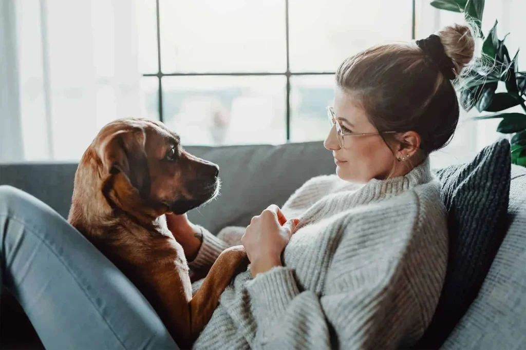 Home veterinary treatment options