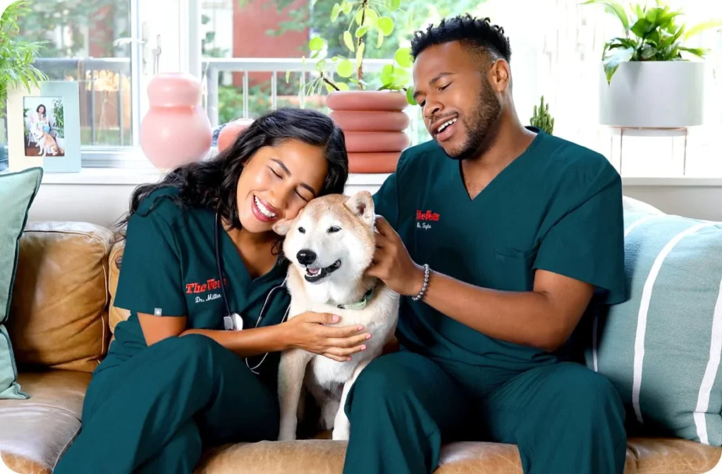 How Photographers Can Benefit From Home Veterinary Treatment Options for Their Pets